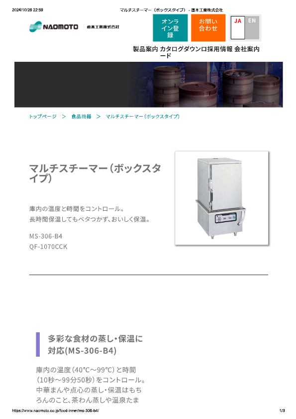 カタログ（マルチスチーマー）