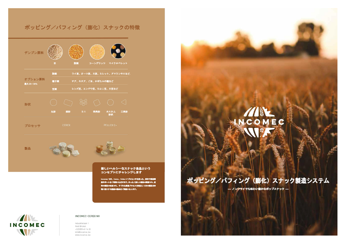 INCOMEC社ポップチップス製造装置